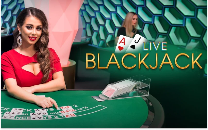 Test your strategy against professional dealers in our live blackjack rooms at MegaPari.