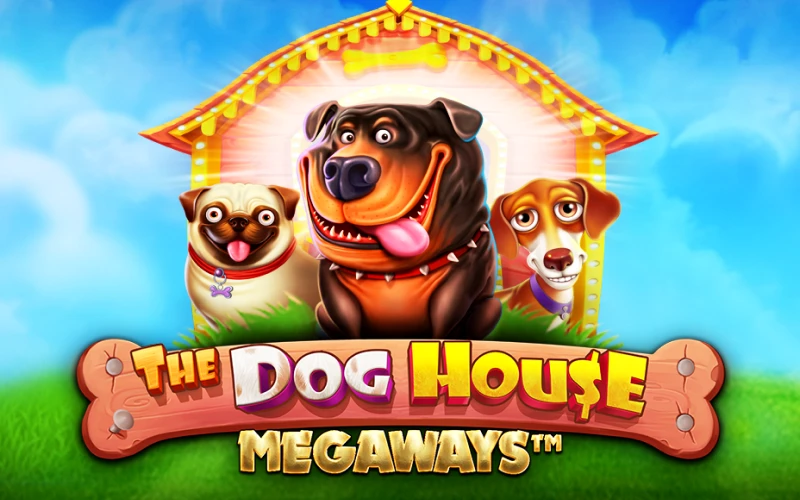 Step inside The Dog House Megaways and hunt for wins at MegaPari.