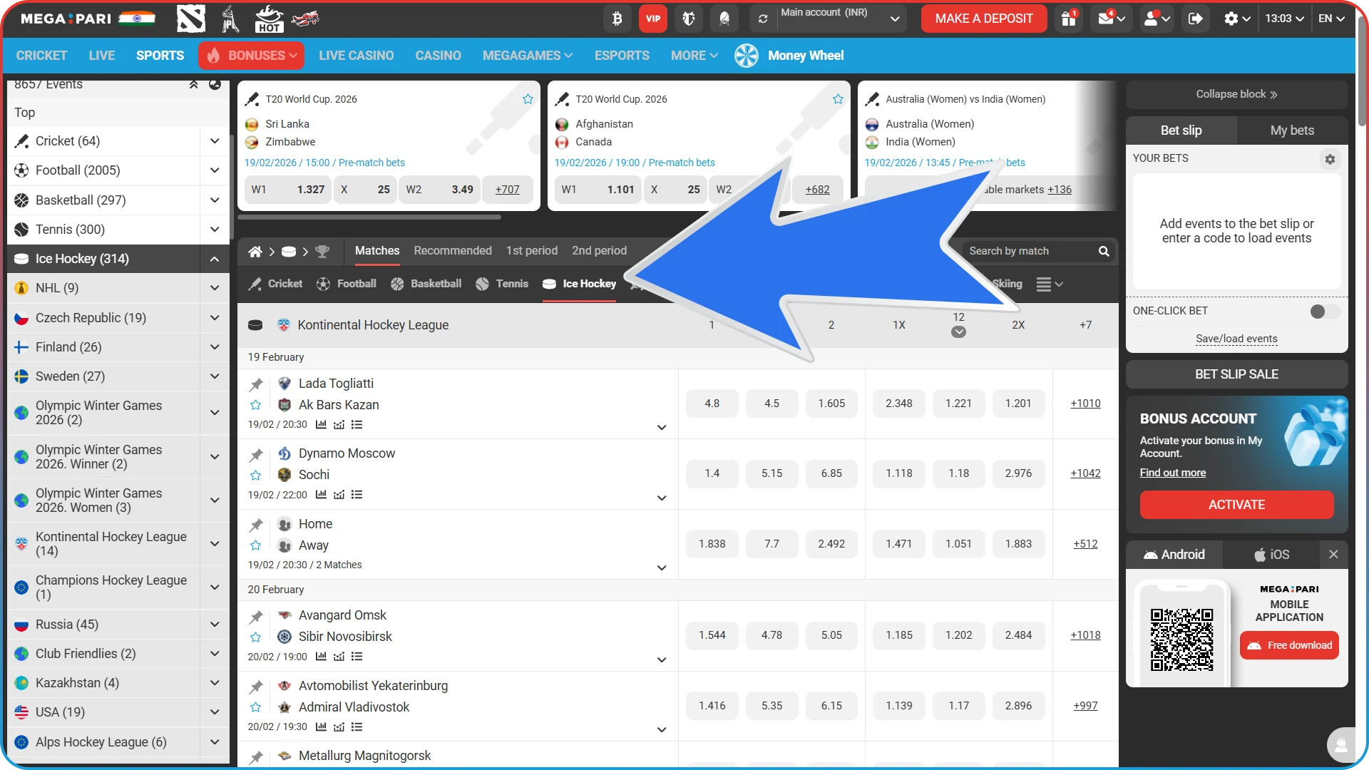 Explore the MegaPari platform to find the hockey league that best suits your betting strategy.