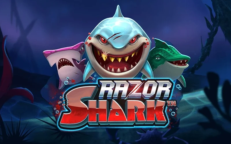 See if the odds are in your favor today with the Razor Shark slot at MegaPari.